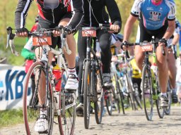 Publiek &raquo; Tourtochten / Cyclos &raquo; Ronde van Vlaanderen 2014